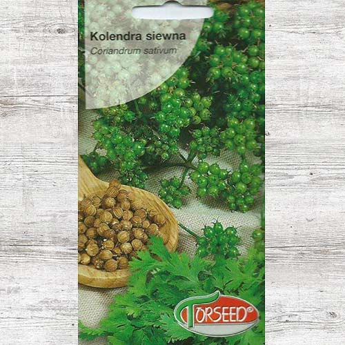 Nasiona Kolendra siewna interface.art zdjęcie 1 Nasiona Kolendra siewna interface.image 1 interface.art 87012