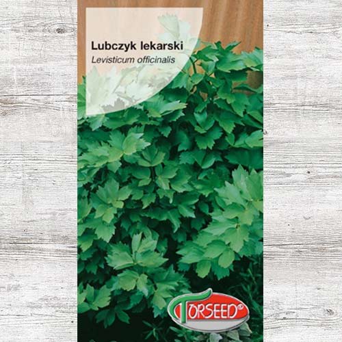 Nasiona Lubczyk lekarski interface.image 1 interface.art 86939