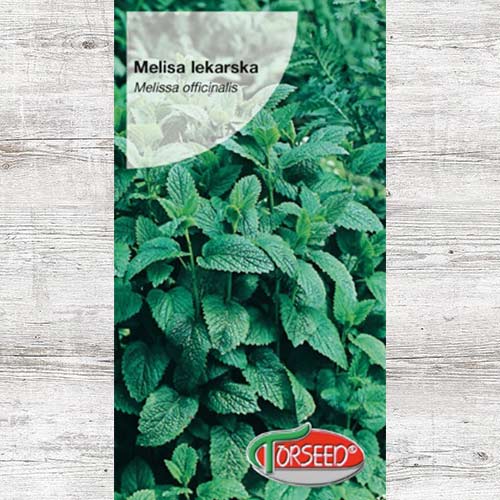 Nasiona Melisa lekarska interface.image 1 interface.art 86943