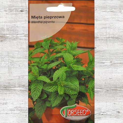 Nasiona Mięta interface.image 1 interface.art 86944