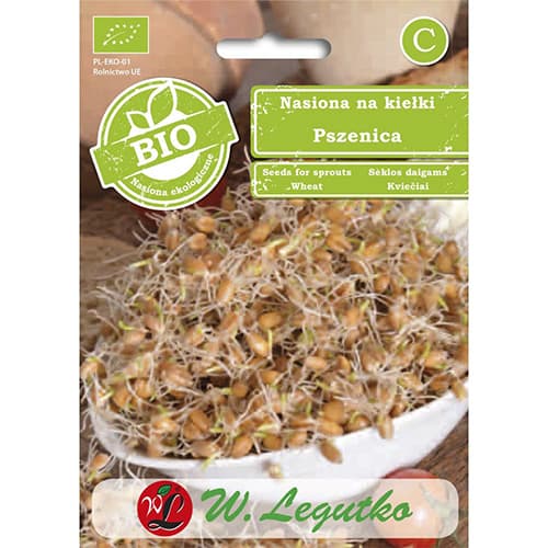 Nasiona na kiełki - pszenica interface.image 1 interface.art 86683