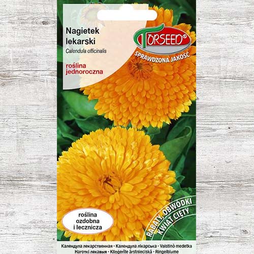 Nasiona Nagietek lekarski interface.image 1 interface.art 86946