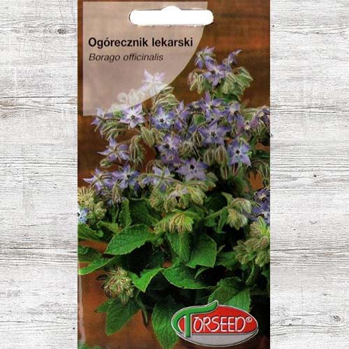 Nasiona Ogórecznik lekarski interface.image 1 interface.art 86948