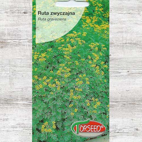 Nasiona Ruta zwyczajna interface.art zdjęcie 1 Nasiona Ruta zwyczajna interface.image 1 interface.art 87028