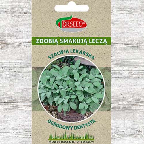 Nasiona Szałwia lekarska interface.image 1 interface.art 86960