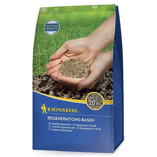 Nasiona trawnika do regeneracji 0,5kg interface.image 1 interface.art 96891