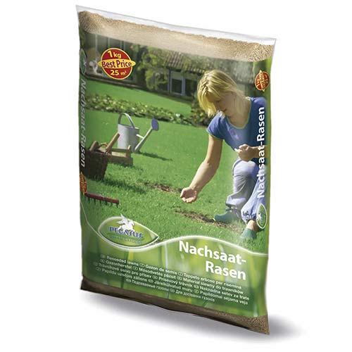 Nasiona trawnika dosiewka 1kg interface.art zdjęcie 1 Nasiona trawnika dosiewka 1kg interface.image 1 interface.art 96895