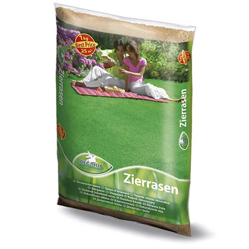 Nasiona trawnika ozdobnego 1kg interface.art zdjęcie 1 Nasiona trawnika ozdobnego 1kg interface.image 1 interface.art 96896