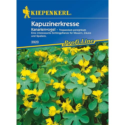 Nasturcja kanaryjska zolta interface.image 1 interface.art 86274