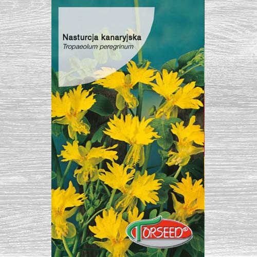 Nasturcja kanaryjska interface.image 1 interface.art 77567