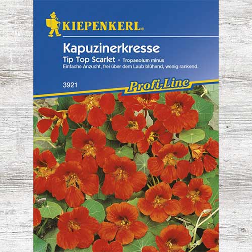 Nasturcja mniejsza Tip Top Scarlet interface.image 1 interface.art 86277