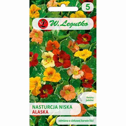 Nasturcja niska Alaska, mieszanka Legutko interface.image 1 interface.art 96775