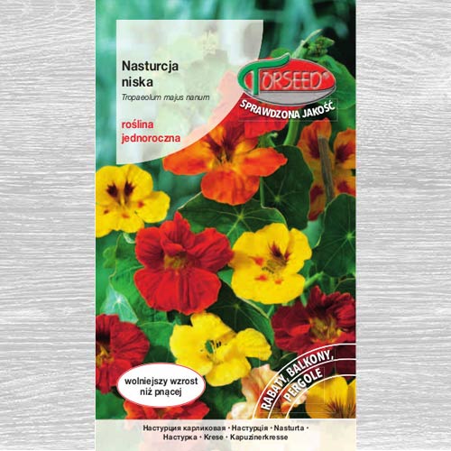 Nasturcja niska, mieszanka interface.image 1 interface.art 77568