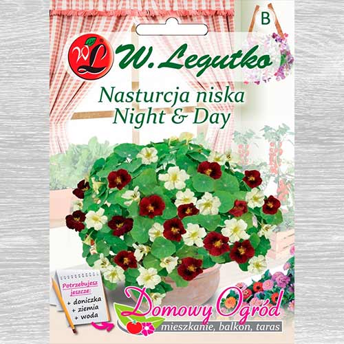Nasturcja niska Night & Day Legutko interface.art zdjęcie 1 Nasturcja niska Night & Day Legutko interface.image 1 interface.art 69661