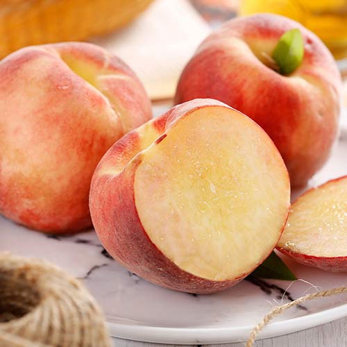 Nektaryna Caramela interface.image 1 interface.art 6937