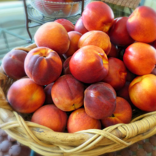 Nektaryna Orion interface.art zdjęcie 1 Nektaryna Orion interface.image 1 interface.art 7983