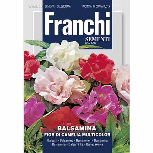 Niecierpek balsamina kameliowy, mieszanka kolorów Morami interface.art zdjęcie 1 Niecierpek balsamina kameliowy, mieszanka kolorów Morami interface.image 1 interface.art 87302