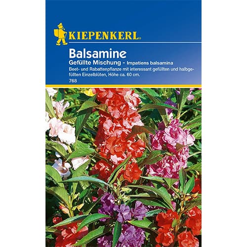 Balsamina pelna, mix kolorow interface.art zdjęcie 1 Balsamina pelna, mix kolorow interface.image 1 interface.art 77436