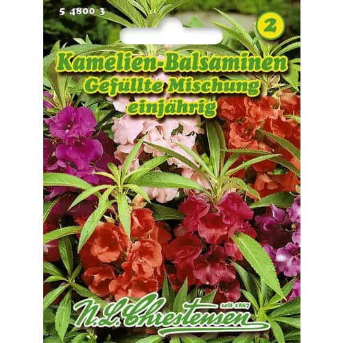 Balsamin Kamelien, mix kolorow interface.image 1 interface.art 96429