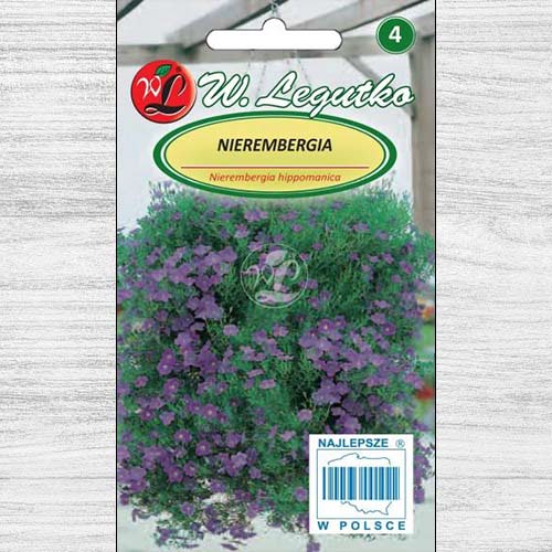 Nierembergia niebieska Legutko interface.image 1 interface.art 78624