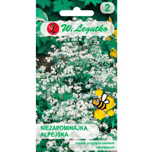 Niezapominajka biała interface.image 1 interface.art 78612