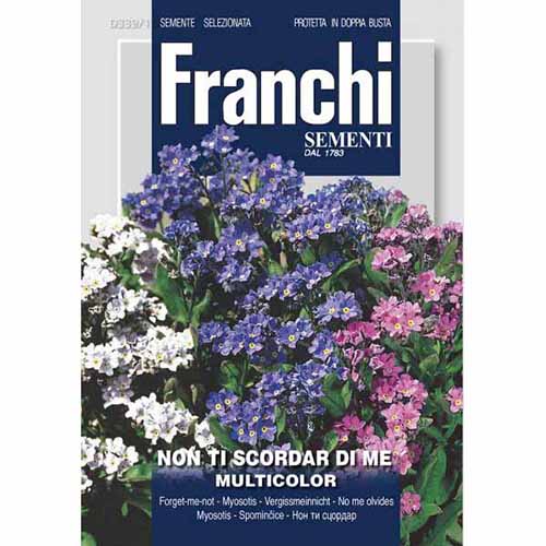 Niezapominajka alpejska, mieszanka kolorów Morami interface.image 1 interface.art 87128