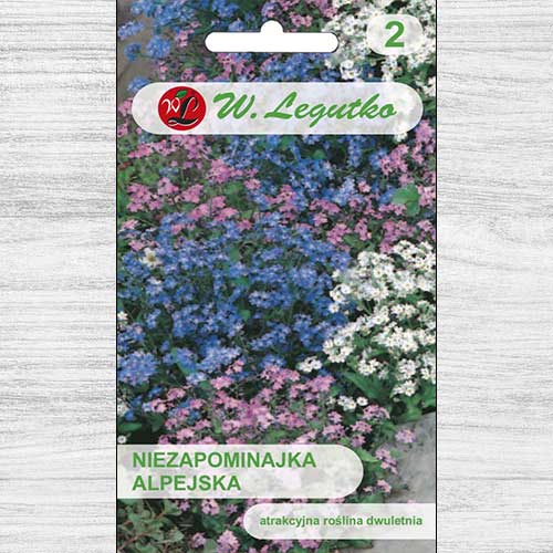 Niezapominajka alpejska, mieszanka Legutko interface.art zdjęcie 1 Niezapominajka alpejska, mieszanka Legutko interface.image 1 interface.art 78615