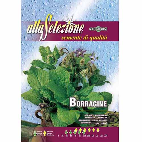 Ogórecznik lekarski Morami Morami interface.image 1 interface.art 96388