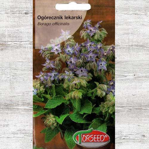 Ogórecznik lekarski, nasiona interface.image 1 interface.art 87025