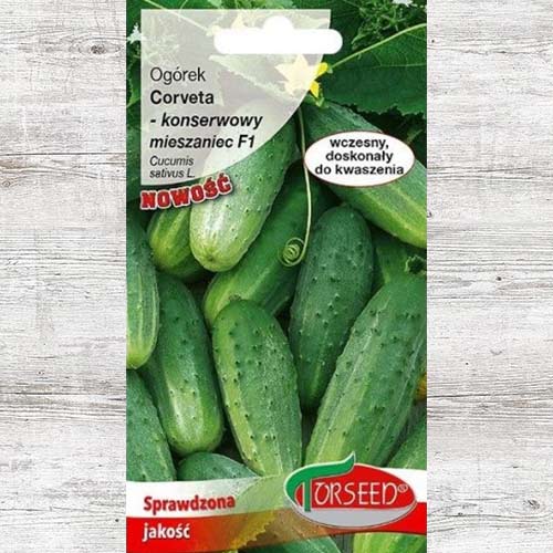 Ogórek Corveta F1 interface.art zdjęcie 1 Ogórek Corveta F1 interface.image 1 interface.art 86978