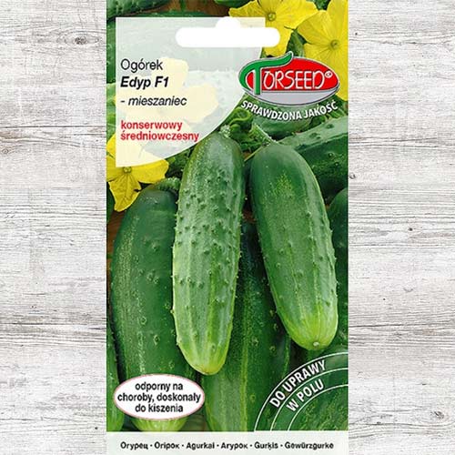 Ogórek Edyp F1 interface.art zdjęcie 1 Ogórek Edyp F1 interface.image 1 interface.art 86972