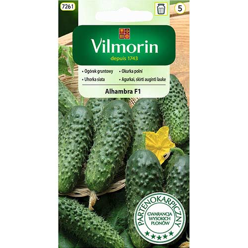 Ogórek gruntowy Alhambra F1 Vilmorin interface.art zdjęcie 1 Ogórek gruntowy Alhambra F1 Vilmorin interface.image 1 interface.art 77731