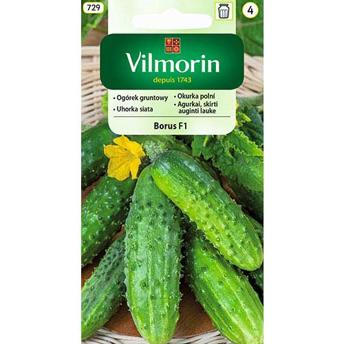 Ogórek gruntowy Borus F1 Vilmorin interface.art zdjęcie 1 Ogórek gruntowy Borus F1 Vilmorin interface.image 1 interface.art 77728