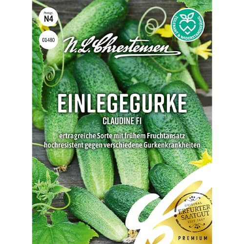 Ogorek Claudine F1 interface.image 1 interface.art 86034