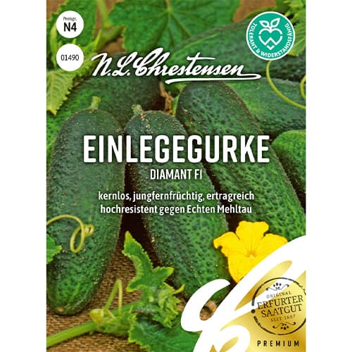 Ogorek Diamant F1 interface.image 1 interface.art 86035