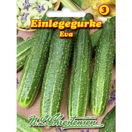 Ogorek Eva interface.image 1 interface.art 96470