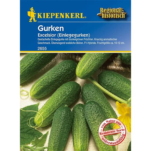 Ogorek Excelsior interface.image 1 interface.art 86445