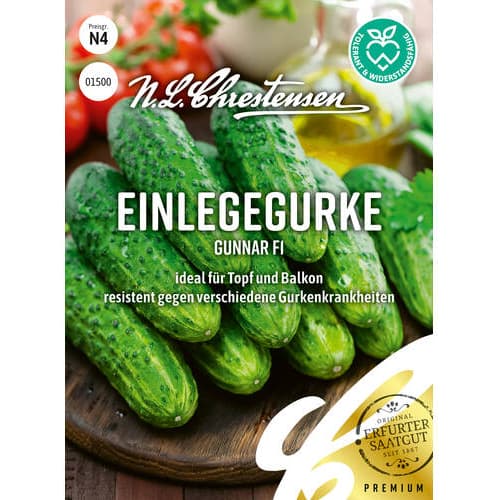 Ogorek Gunnar F1 interface.image 1 interface.art 86036