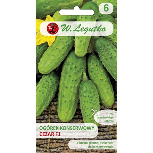 Ogorek Cezar F1 interface.art zdjęcie 1 Ogorek Cezar F1 interface.image 1 interface.art 86874