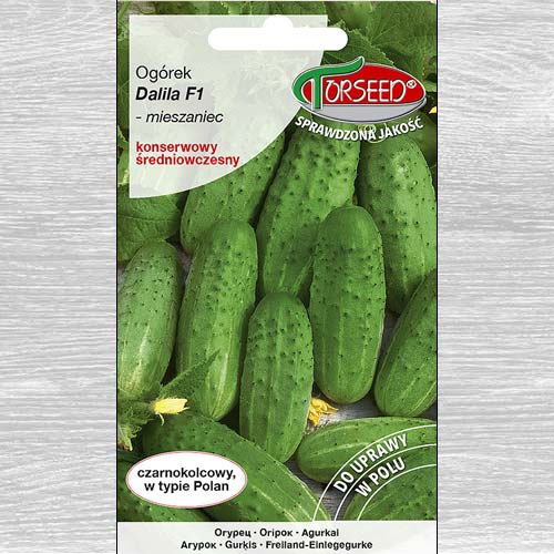 Ogórek gruntowy konserwowy Dalila F1 interface.art zdjęcie 1 Ogórek gruntowy konserwowy Dalila F1 interface.image 1 interface.art 77626
