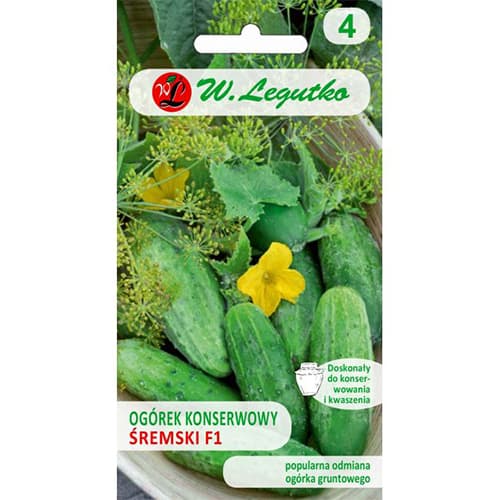 Ogórek gruntowy konserwowy Izyd F1 interface.image 1 interface.art 86875