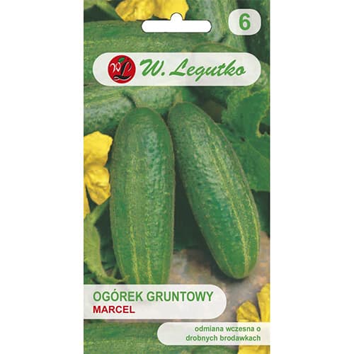 Ogorek Marcel F1 interface.image 1 interface.art 86877