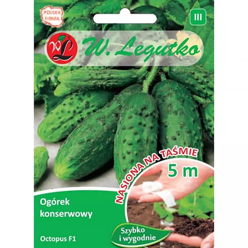 Ogórek gruntowy konserwowy Octopus F1 Legutko interface.art zdjęcie 1 Ogórek gruntowy konserwowy Octopus F1 Legutko interface.image 1 interface.art 78489