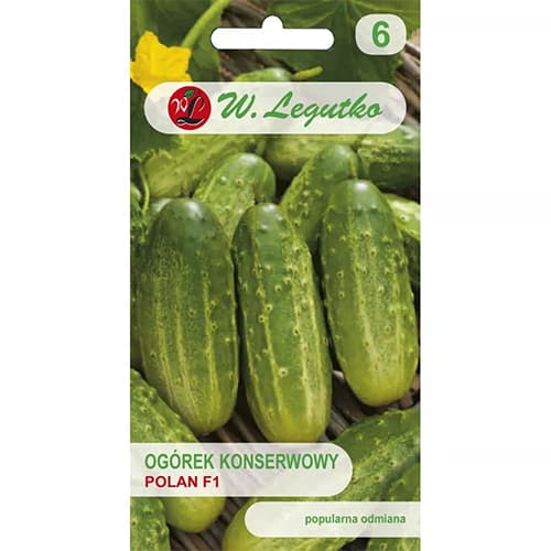 Ogorek Polan F1 interface.image 1 interface.art 86857