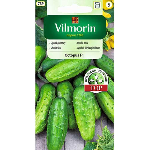 Ogórek gruntowy Octopus F1 Vilmorin interface.image 1 interface.art 77730
