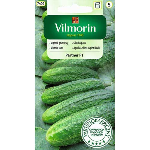 Ogórek gruntowy Partner F1 Vilmorin interface.art zdjęcie 1 Ogórek gruntowy Partner F1 Vilmorin interface.image 1 interface.art 77732