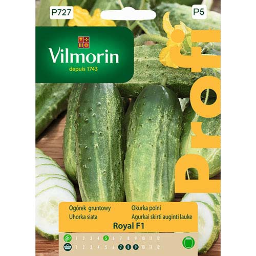Ogórek gruntowy Royal F1 Vilmorin interface.art zdjęcie 1 Ogórek gruntowy Royal F1 Vilmorin interface.image 1 interface.art 77734