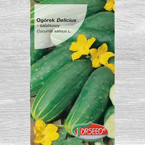 Ogórek gruntowy sałatkowy Delikatess interface.art zdjęcie 1 Ogórek gruntowy sałatkowy Delikatess interface.image 1 interface.art 77628