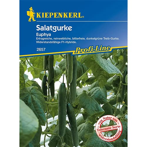 Ogorek Euphya interface.image 1 interface.art 86521