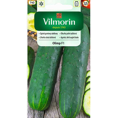 Ogórek gruntowy sałatkowy Olimp F1 Vilmorin interface.art zdjęcie 1 Ogórek gruntowy sałatkowy Olimp F1 Vilmorin interface.image 1 interface.art 77727